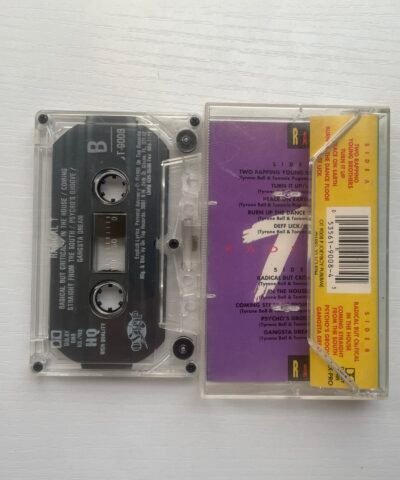 Alternative view of Radical T - Radical But Critical (1991)