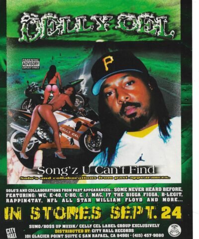 Alternative view of Playa Fly - Fly2K Poster (2002)